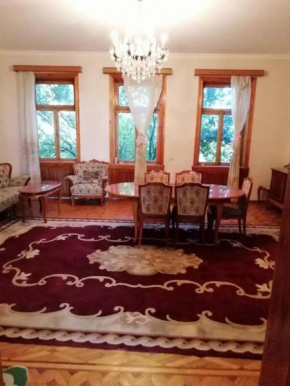 Spacious house for whole family